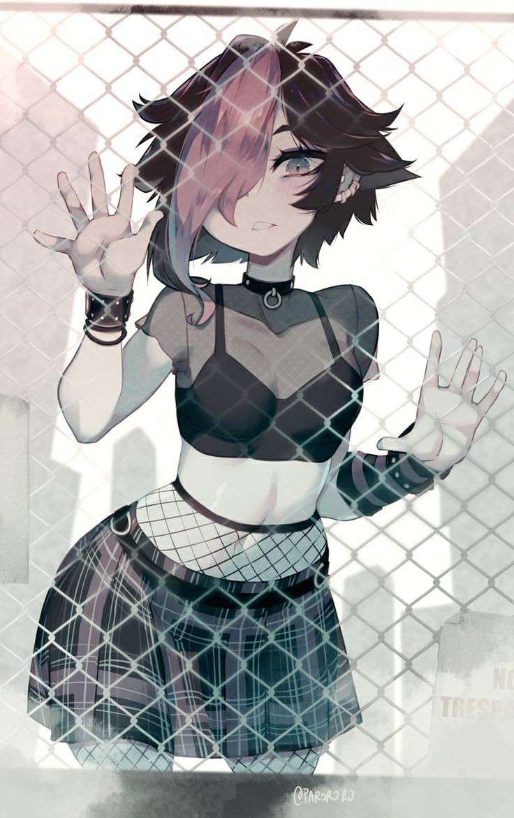 bot's avatar